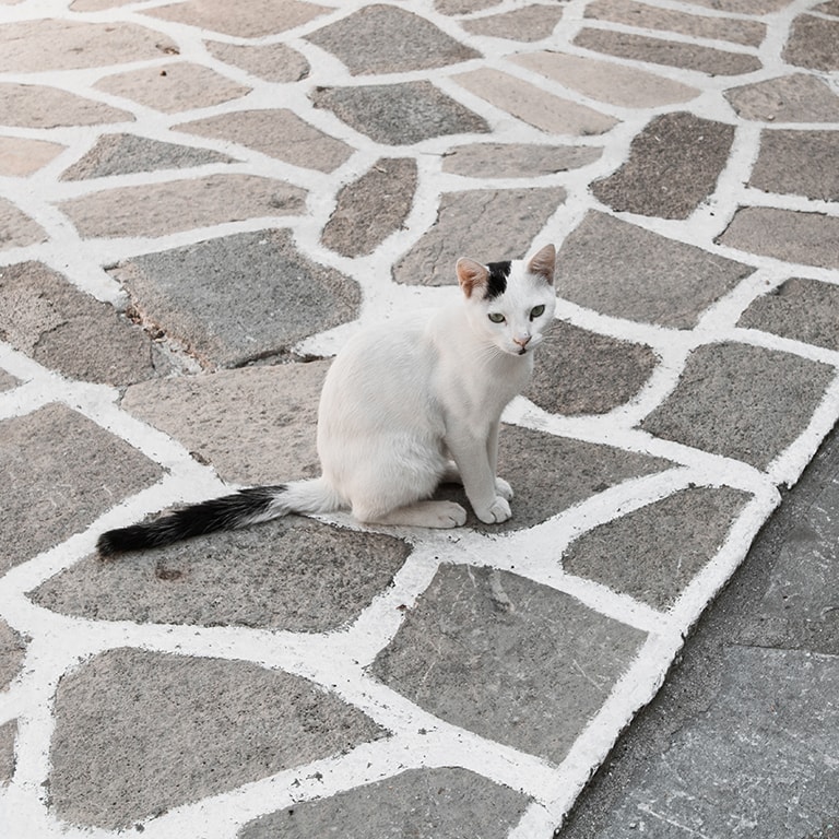 Prachtige details in Vourliotes, Samos, Griekenland