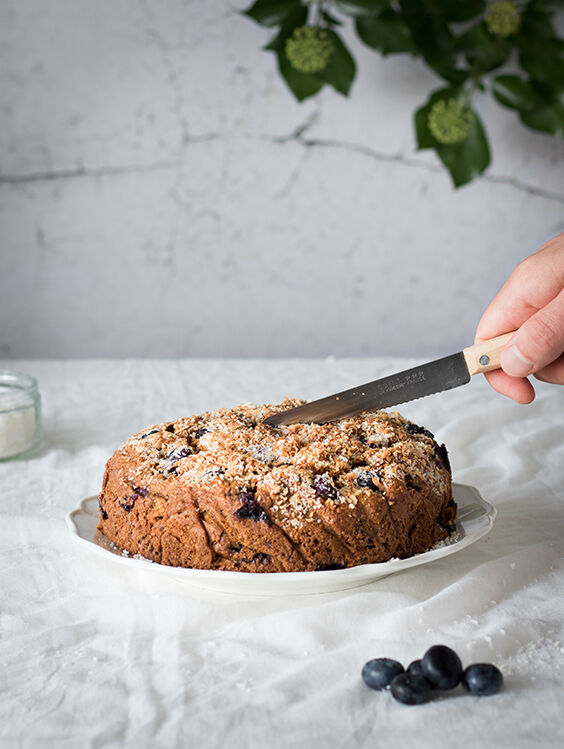 Gezonde cake met volkorenmeel, blauwe bessen en kokos