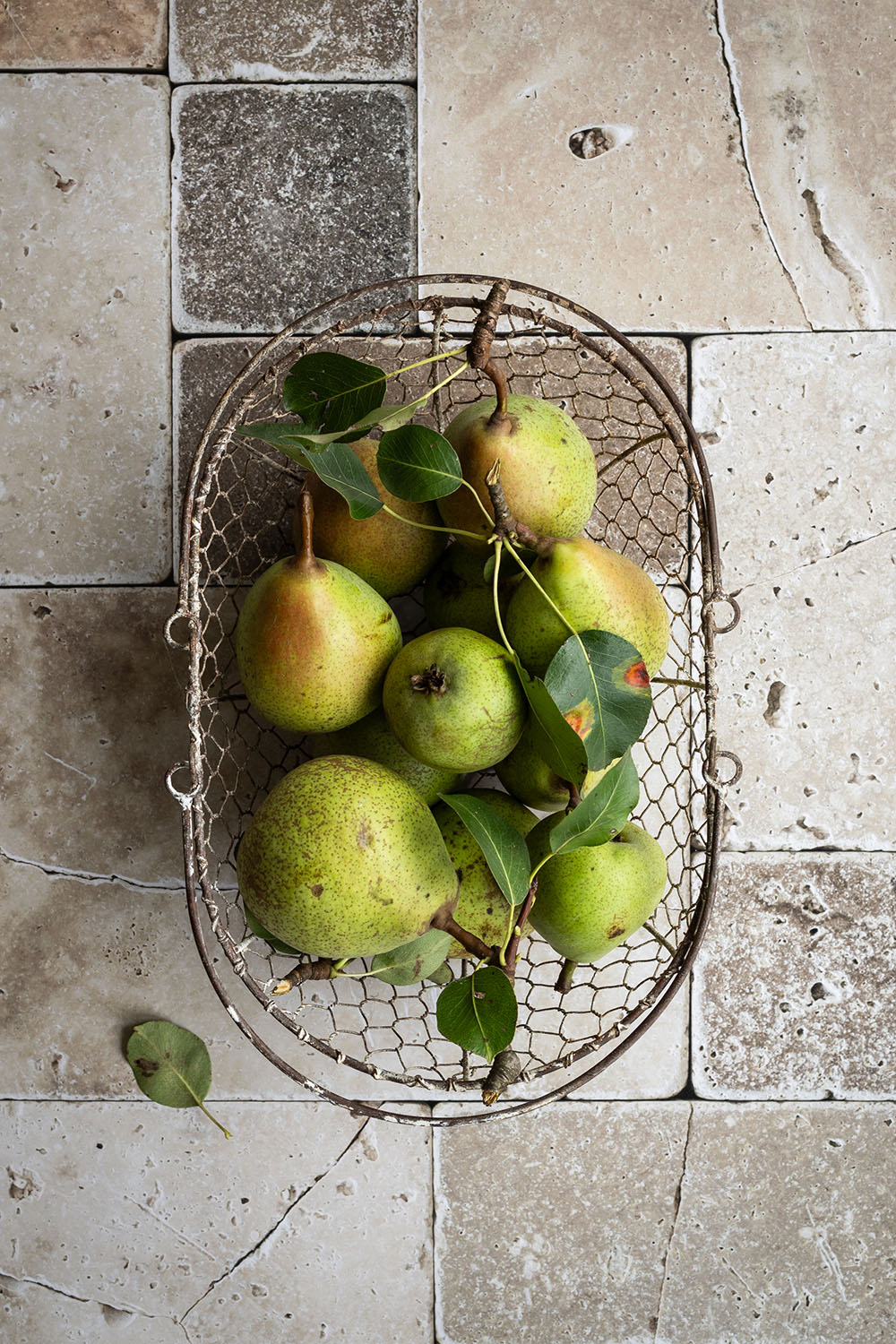 Lara Virkus West-Contrescarpe 3, 31737 Rinteln, Germany +4901736390758 laravirkus@gmx.net