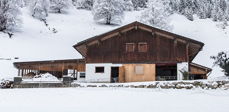 De schapenstal van Franz, Airbnb Berchtesgaden, Duitsland