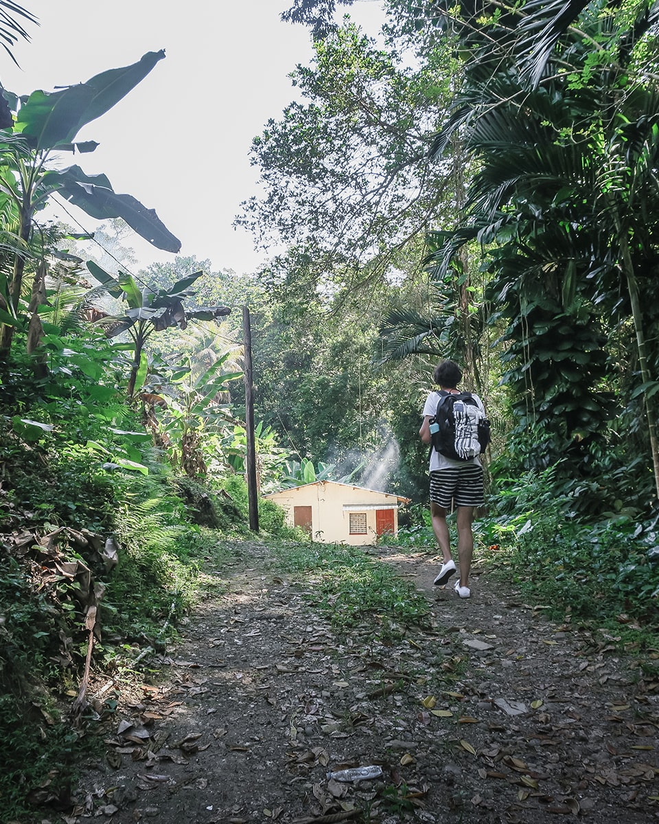Jamaica rondreizen in 2 weken is fantastisch en veilig + 7 reistips