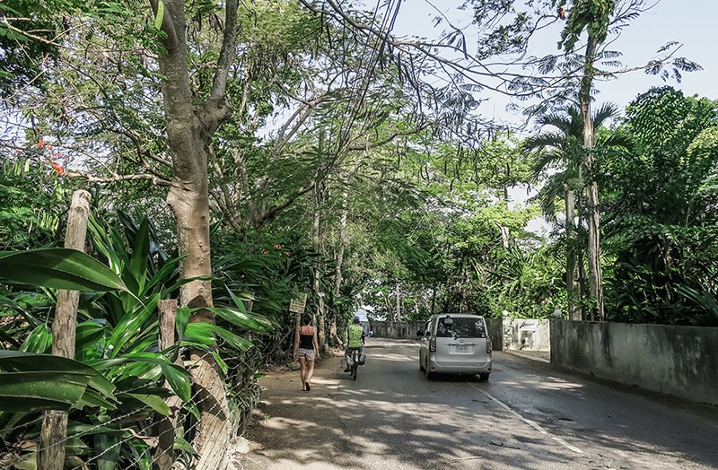 Wandeling door, Jamaica