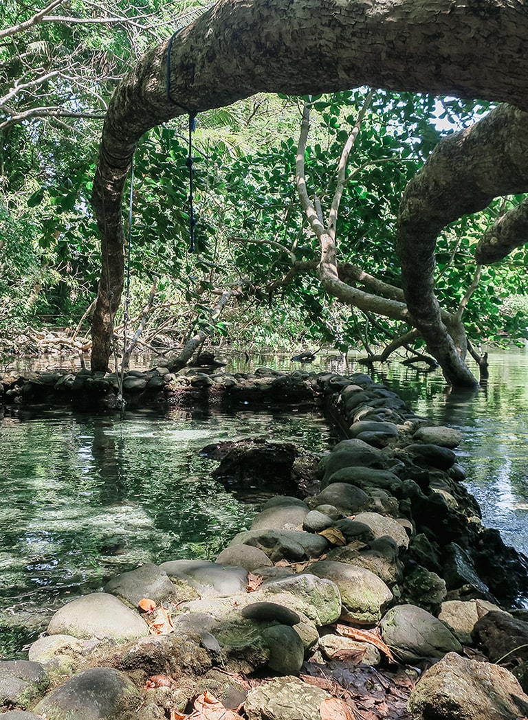Mineral spring, Blue Lagoon, Port Antonio, Jamaica