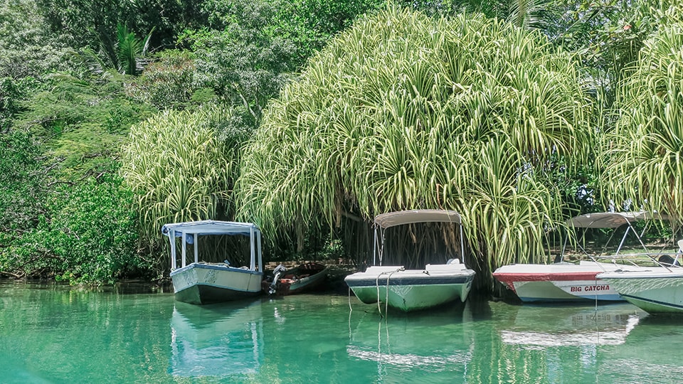 Port Antonio, Jamaica ongerepte natuur en droomstranden