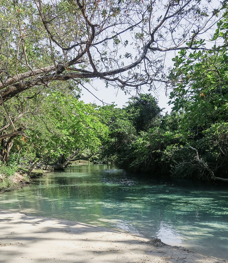 Rivier Frenchman's Cove, Jamaica