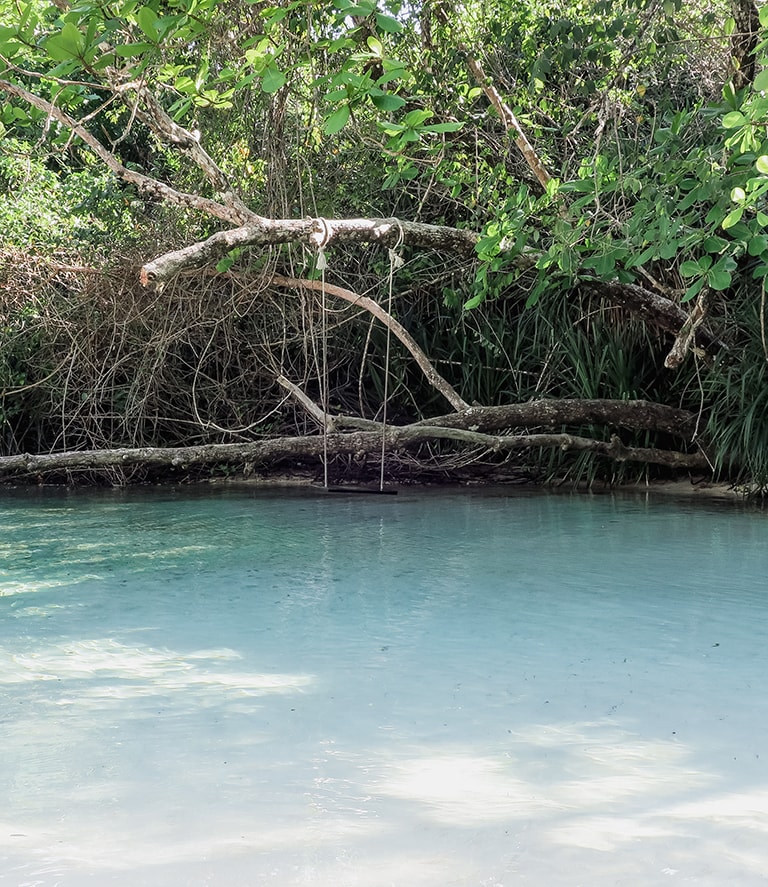 Schommel bij Frenchman's Cove, Jamaica