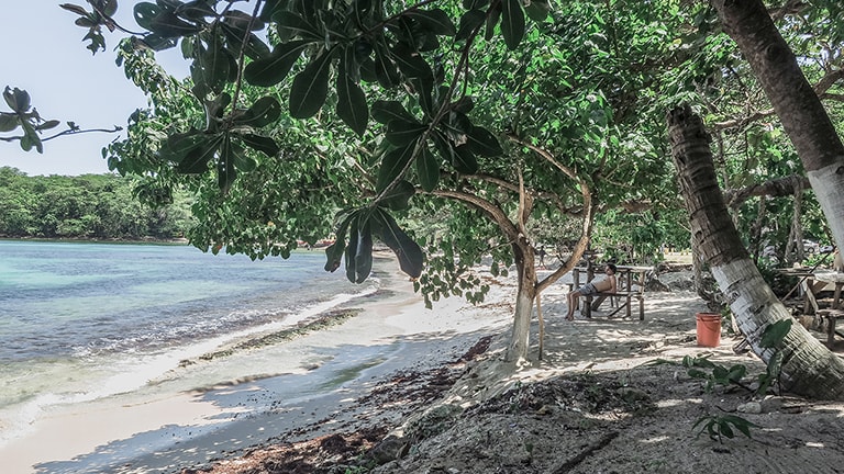 Paradijs, Winnifred Beach, Port Antonio, Jamaica