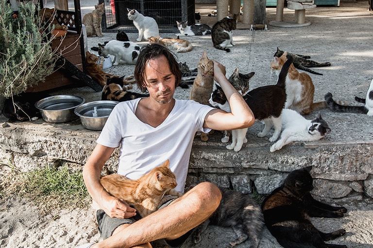 Katten knuffelen bij Samos Cat Rescue, Samos, Griekenland