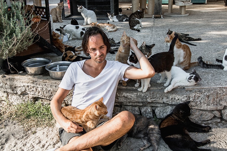 Katten knuffelen bij Samos Cat Rescue, Samos, Griekenland