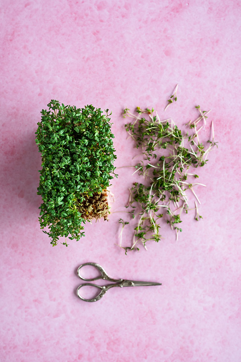 Roze backdrop ‘lollypop pink’ met zachte textuur, ideaal voor fotografie