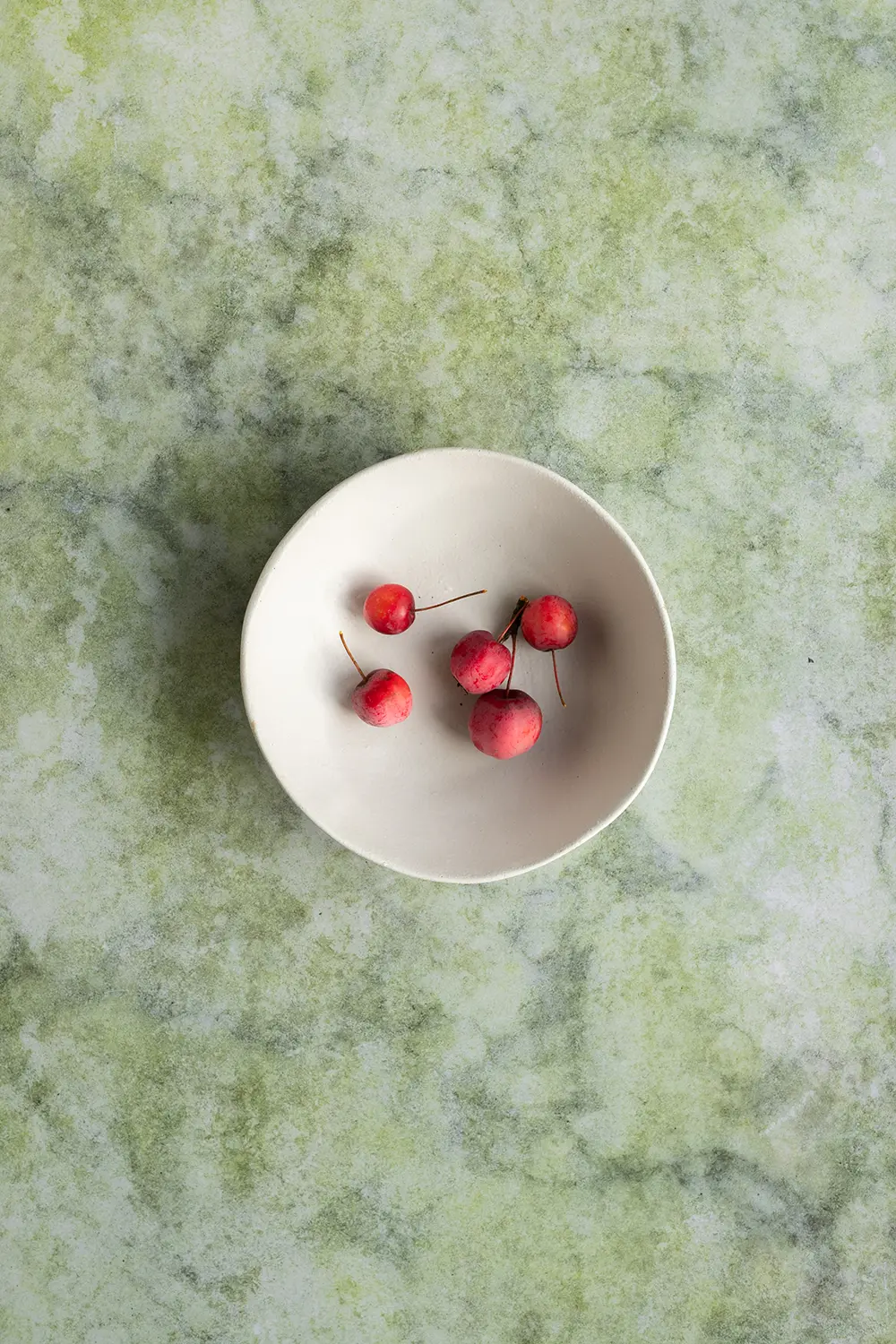 In onze webshop vind je een brede collectie ronde vinyl backdrops