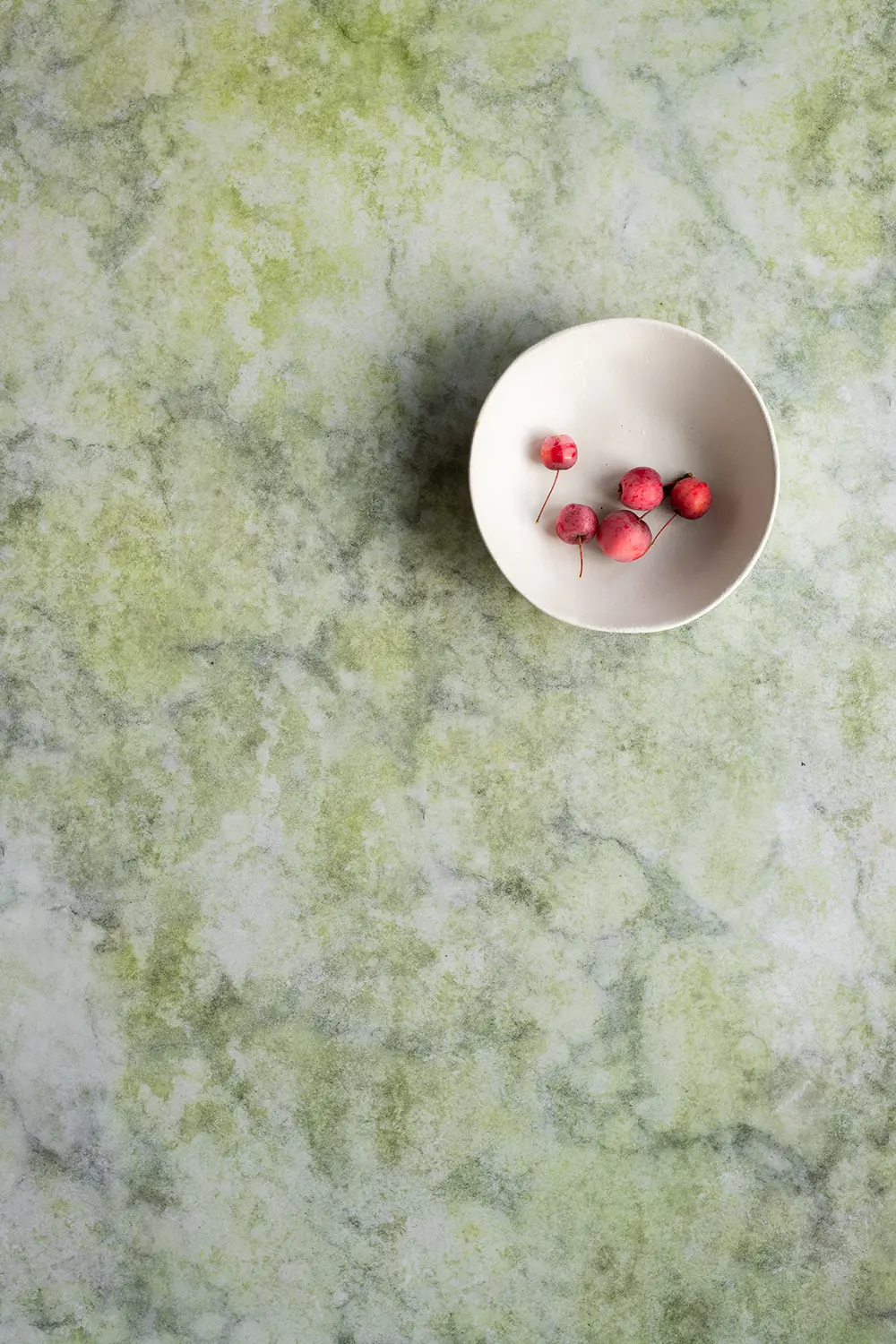 In onze webshop vind je een brede collectie ronde vinyl backdrops