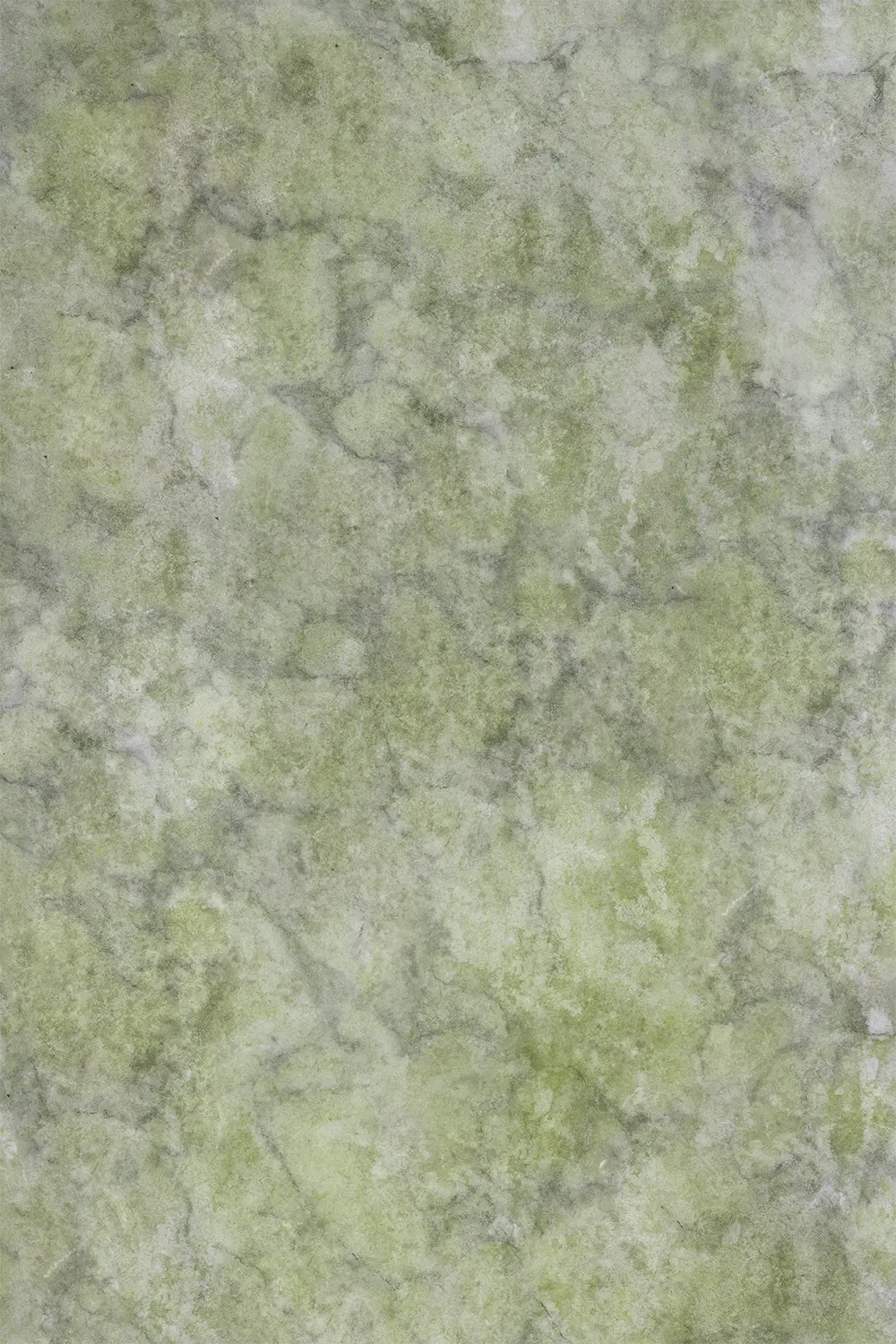 In onze webshop vind je een brede collectie ronde vinyl backdrops