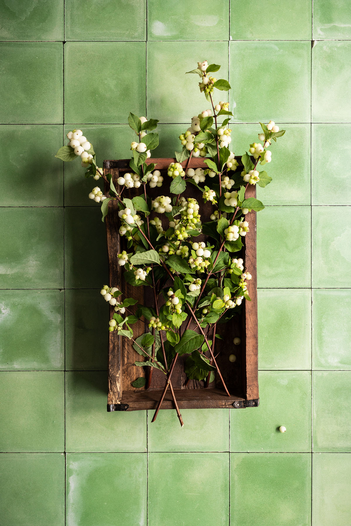 Frisse groene tegels fotografie backdrop voor professionals