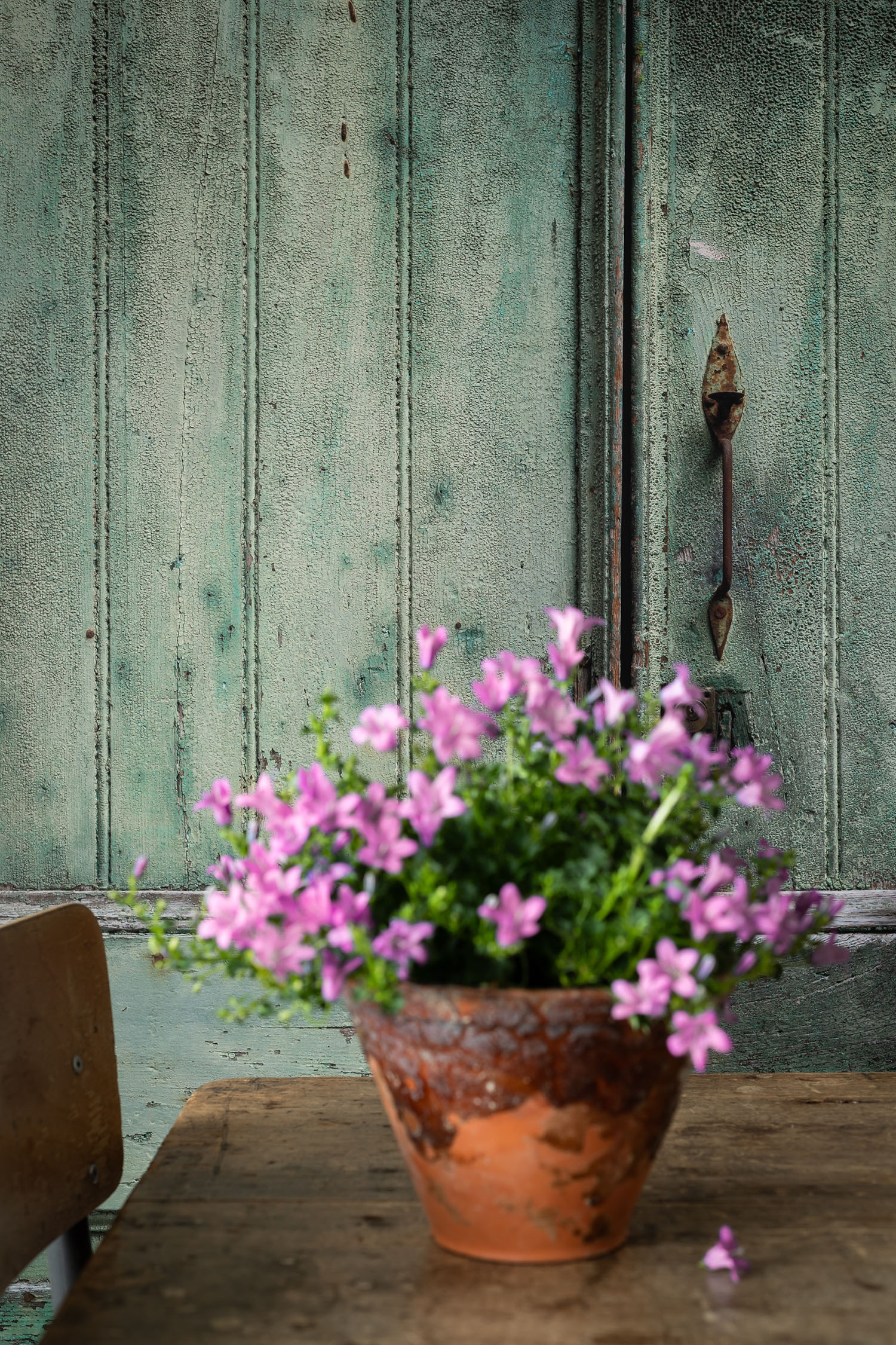 Oude groene deur vinyl backdrop voor food en product fotografie
