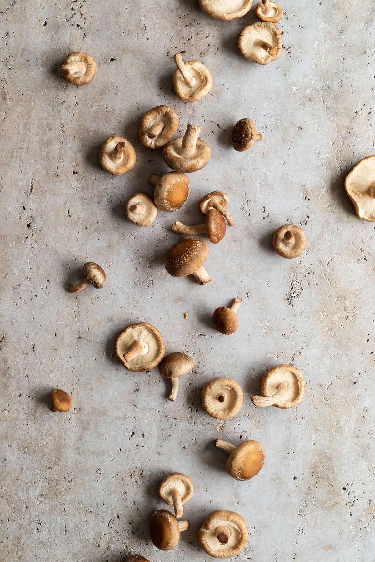 Oude beige cement steen backdrop voor styling en fotografie