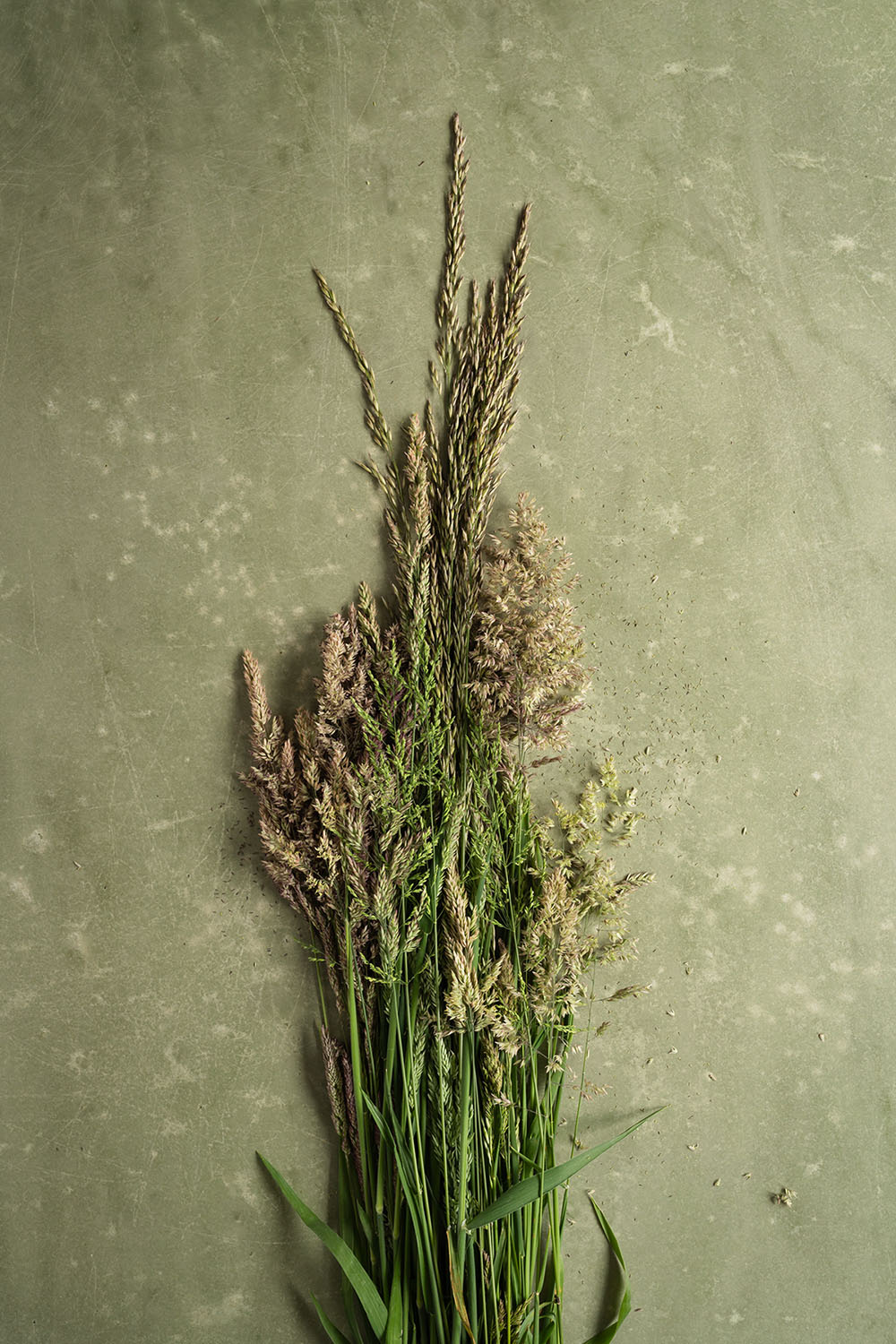 Natuurlijke mosgroene tint vinyl backdrop voor studio fotografie
