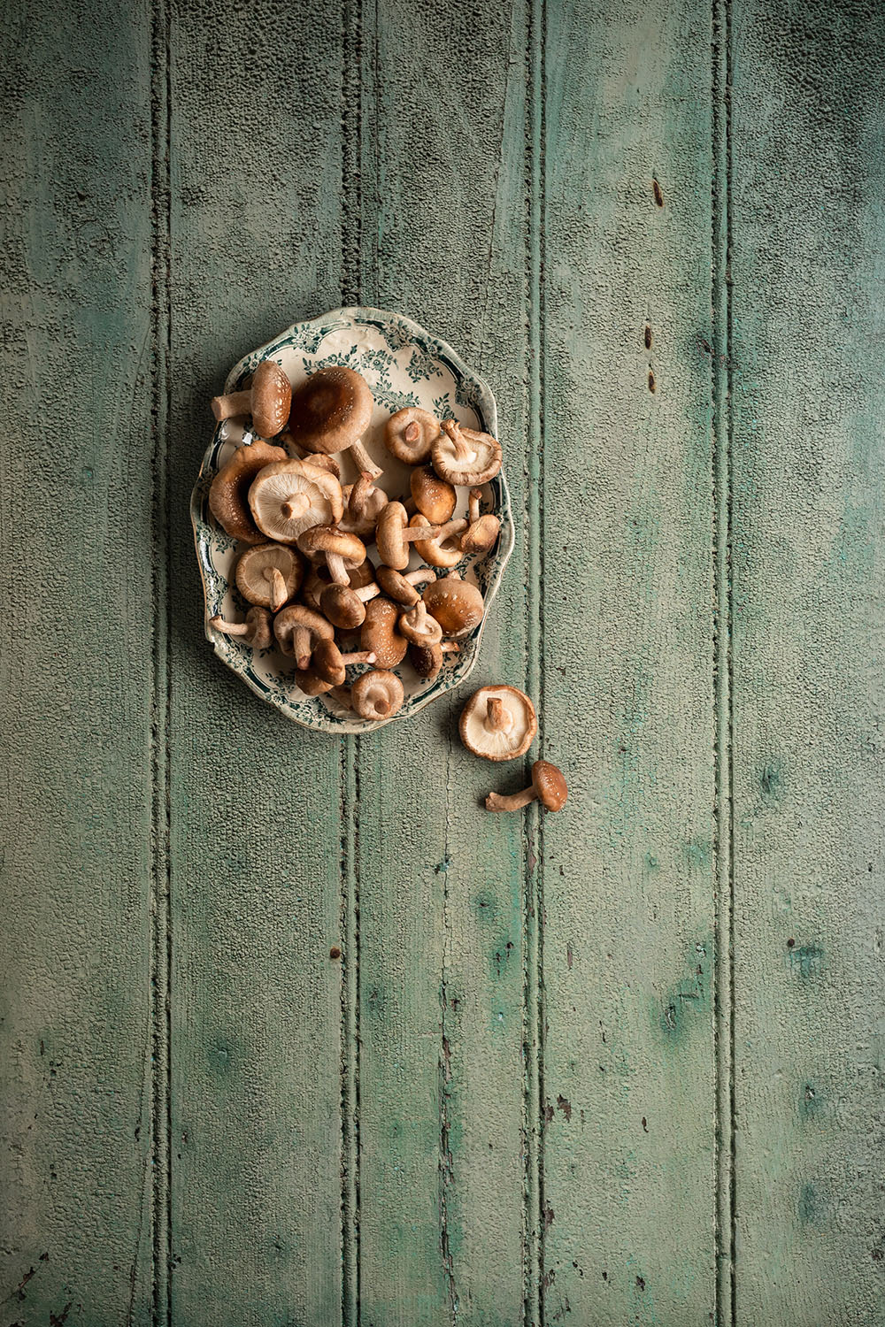 Pistache groen houten vinyl backdrop perfect voor herfst fotografie