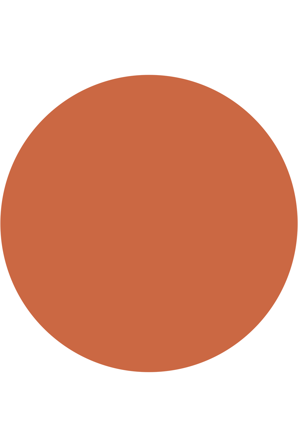 Terracotta vinyl backdrop voor professionele studio fotografie