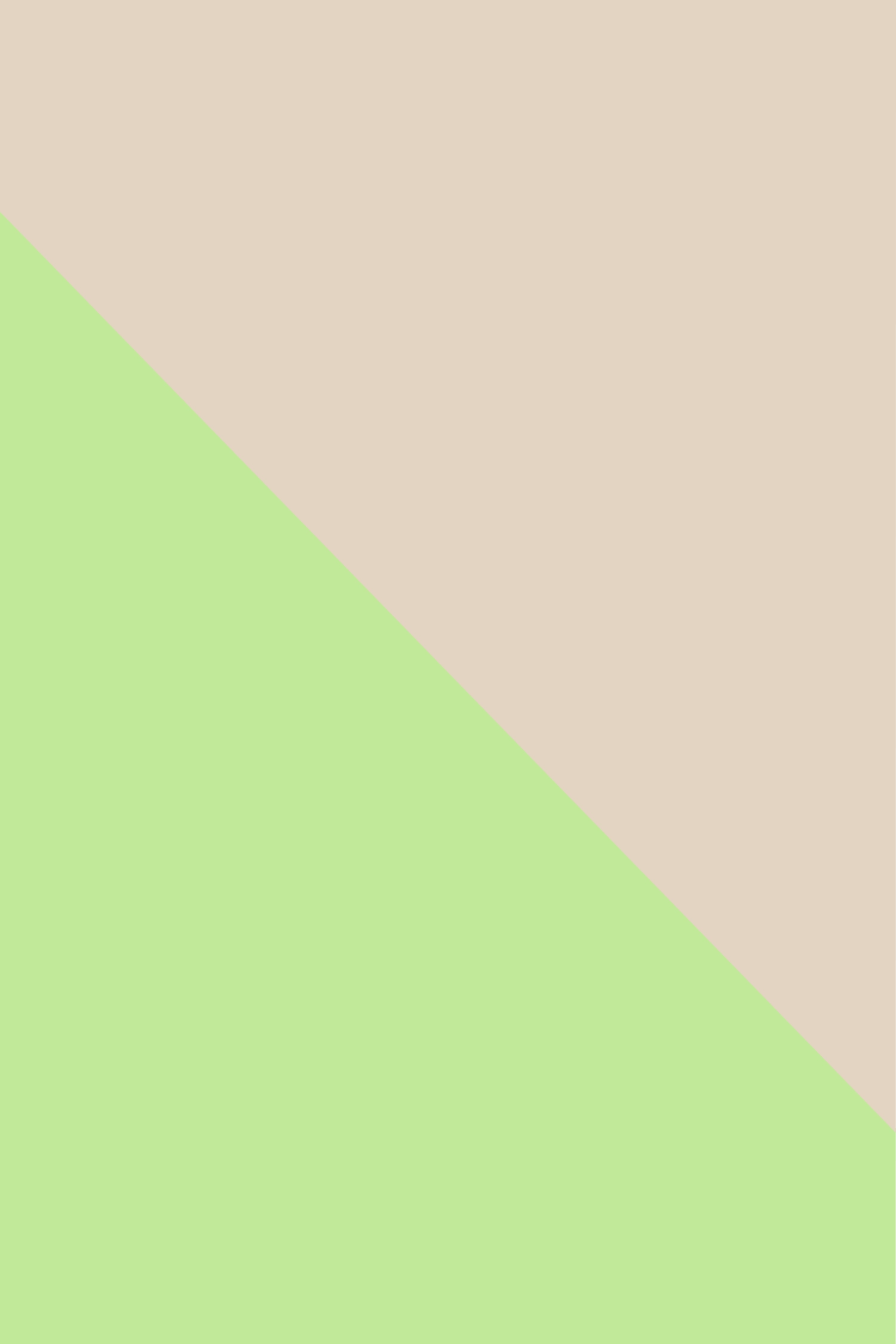 Color block fotoachtergrond te personaliseren in alle kleuren