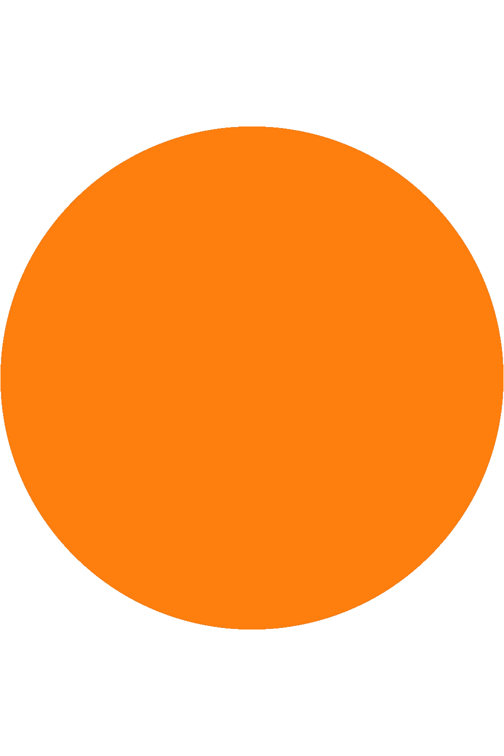 Oranje effen fotoachtergrond laten jouw foto's & video's opvallen
