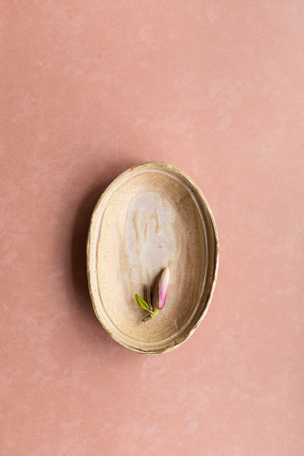 Perzik roze vinyl achtergrond geprint op vinyl voor fotografen