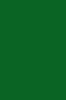 Groene vinyl backdrop