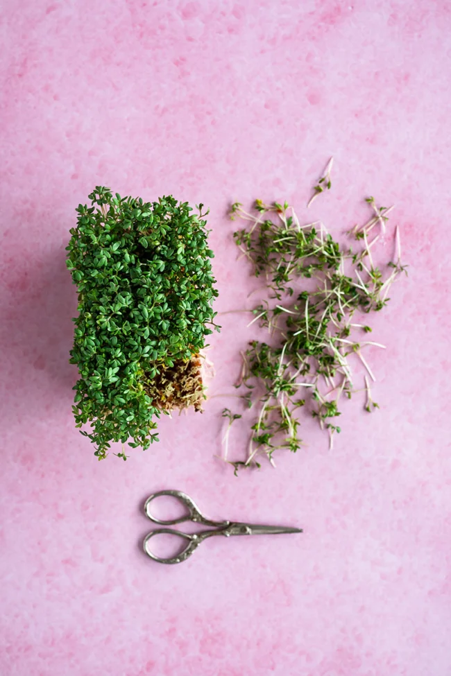Roze backdrop ‘lollypop pink’ met zachte textuur, ideaal voor fotografie