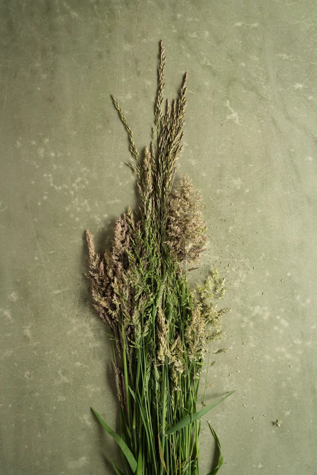 Natuurlijke mosgroene tint vinyl backdrop voor studio fotografie