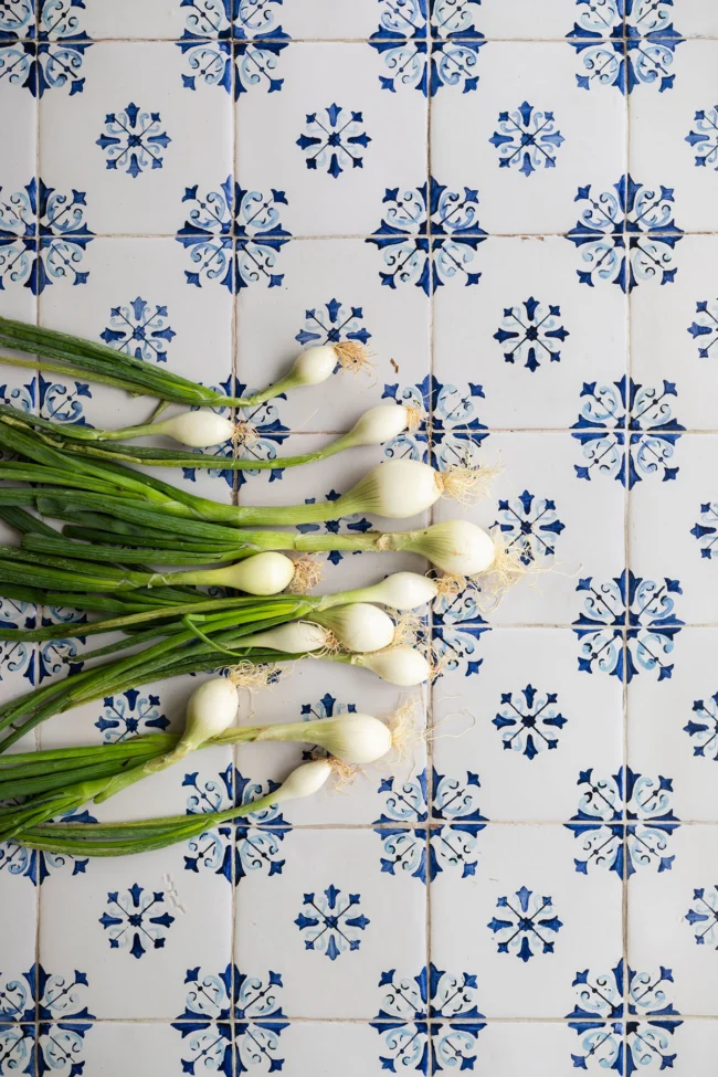 Fotografie ondergrond met blauw witte Portugese Azulejos tegels