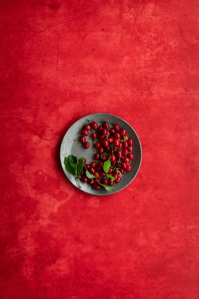 Rode vinyl fotografie backdrop voor Kerstmis fotografie en styling
