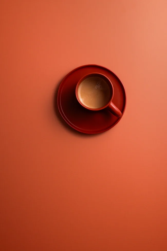 Terracotta vinyl backdrop voor professionele studio fotografie
